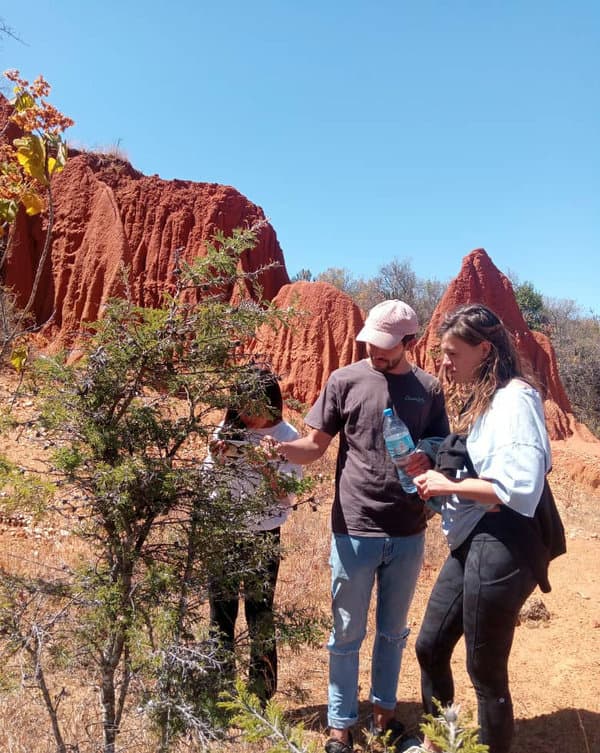 Oxpecker Tours gallery photo 17